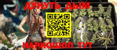 a pvp Будённовск