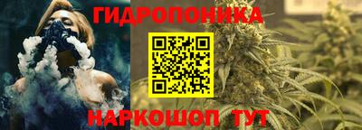 a pvp Будённовск