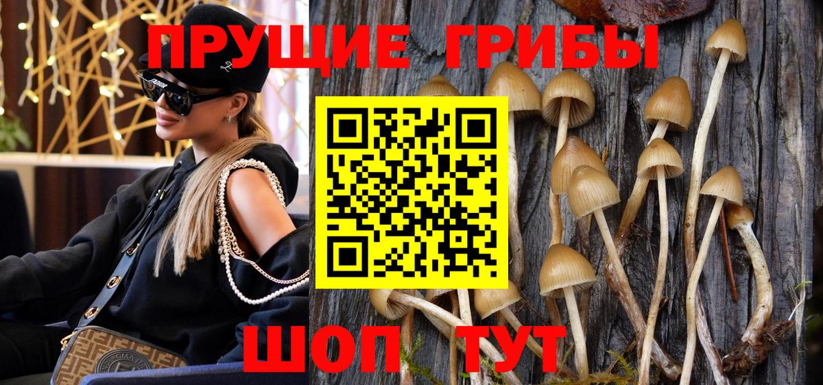 Псилоцибиновые грибы GOLDEN TEACHER Солнечногорск