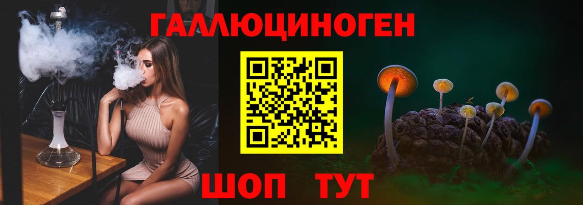 Галлюциногенные грибы мицелий  Вход с VPN  Солнечногорск 